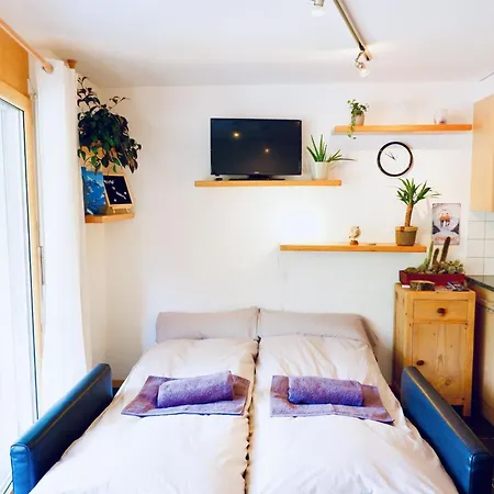Appartamento Haus Judith - Bonita Appartement-fewo 2-zimmerwohnung By Interhome Saas-Fee
